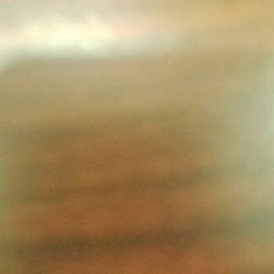 Meet your Posher, Jerry